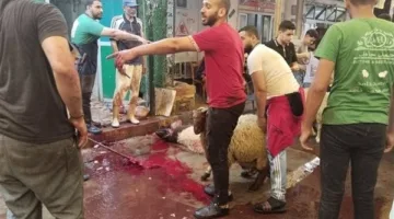 تجمع المواطنين أمام متاجر اللحوم لذبح الأضاحي في الإسكندرية (صور)