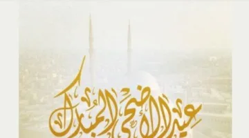 السيدة انتصار السيسي تهنيء الأمة العربية والإسلامية بمناسبة عيد الأضحى