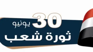 متى تكون عطلة ثورة 30 يونيو 2025 في مصر.. معلومات عن الإجازة الرسمية
