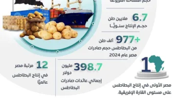 إنفوجراف: قفزة تاريخية في تعزيز صادرات مصر الزراعية