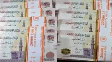 كيفية جني أكبر أرباح من شهادات الادخار في البنوك المصرية 2025؟