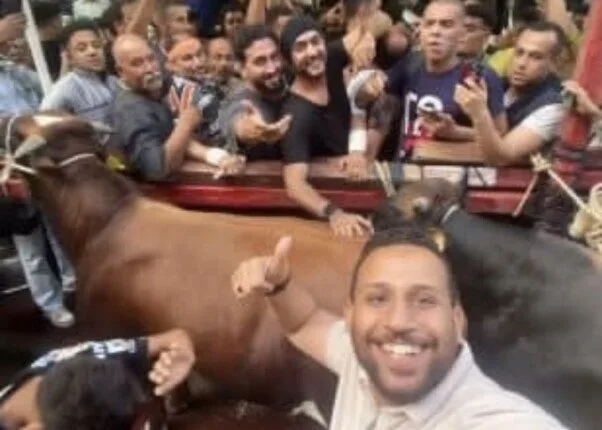 «احتفل أحمد العوضي بعيد الأضحى مع جيرانه في عين شمس» (فيديو) «احتفل أحمد العوضي بعيد الأضحى مع جيرانه في عين شمس» (فيديو)