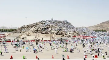 في يوم عرفة.. اجتمعت القلوب.