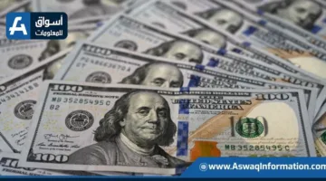 ضبط قضايا تتعلق بتجارة العملات الأجنبية بمبلغ 7 ملايين جنيه