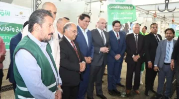 محافظ بني سويف يتفقد ذبح الأضاحي في مجزر إهناسيا لتوزيعها على السكان.