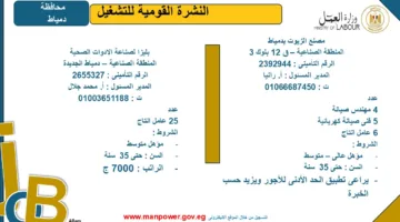 3209 فرص عمل متاحة في 59 شركة خاصة لشباب 14 محافظة