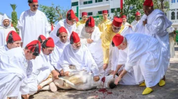 إلغاء تقليد ذبح الأضاحي في المغرب للمرة الأولى.. اكتشف السبب