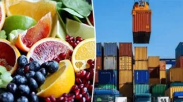 تتخطى 10 مليارات دولار.. زيادة غير عادية في إيرادات الصادرات الزراعية