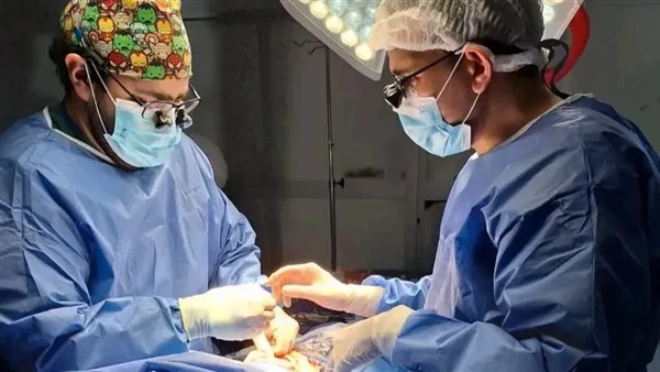 “وزارة الصحة”: تنفيذ 2 مليون و728 ألف عملية جراحية كجزء من المبادرة الرئاسية للقضاء على قوائم الانتظار “وزارة الصحة”: تنفيذ 2 مليون و728 ألف عملية جراحية كجزء من المبادرة الرئاسية للقضاء على قوائم الانتظار