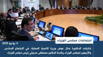 نشرة أسبوعية لتوثيق أنشطة التنمية المحلية.. إنفوجراف