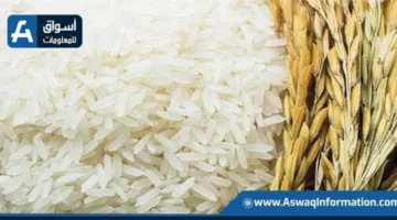 اليابان تبحث في استيراد كميات إضافية من الأرز لتقليل الأسعار