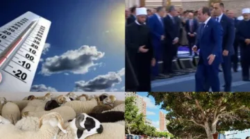 أخبار التوك شو: رئيس شعبة الجلود يشارك نصائح قيمة للمواطنين للحفاظ على جلود الأضاحي.. والأرصاد الجوية تكشف مفاجأة بشأن طقس أول أيام العيد.
