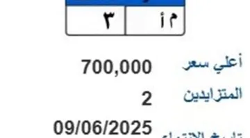 سعرها 700 ألف جنيه.. عرض لوحة سيارة فريدة “م أ – 3” في مزاد
