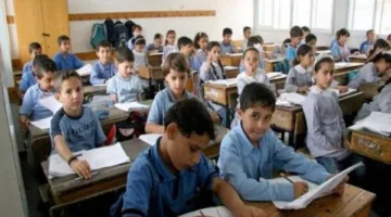 اكتشفها من هنا.. نتائج الصف السادس الابتدائي 2025 برقم الجلوس والاسم