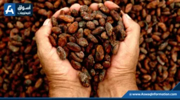تراجع صادرات القهوة الكولومبية بنسبة 27% في مايو