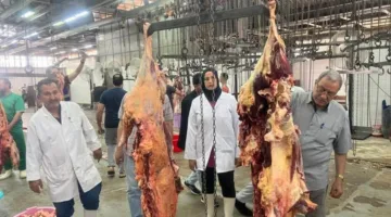 “الزراعة”: المسالخ الحكومية تستقبل أكثر من 9800 رأس من الأضاحي في أول أيام العيد