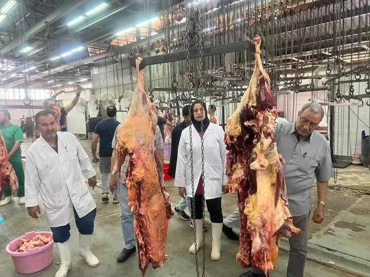 “الزراعة”: المسالخ الحكومية تستقبل أكثر من 9800 رأس من الأضاحي في أول أيام العيد “الزراعة”: المسالخ الحكومية تستقبل أكثر من 9800 رأس من الأضاحي في أول أيام العيد