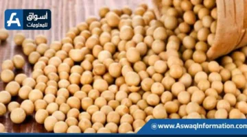 زيادة أسعار فول الصويا عالمياً للجلسة الرابعة توالياً
