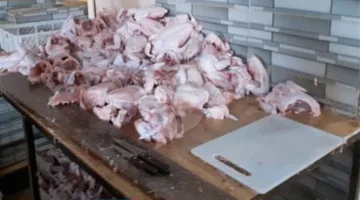 وزارة الزراعة: المسالخ الحكومية تستقبل أكثر من 9800 أضحية في اليوم الأول من العيد