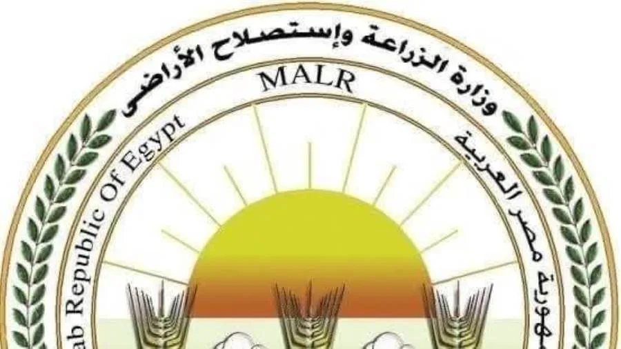 “الزراعة”: المجازر الحكومية تستقبل أكثر من 9800 رأس من الأضاحي في أول أيام العيد
