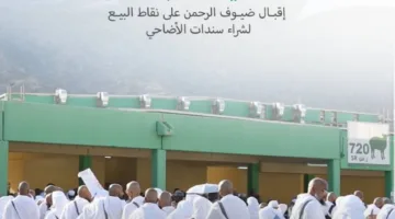 أضاحي تبدأ نشاطاتها التشغيلية في يوم عيد الأضحى