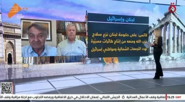 محلل لبناني: إسرائيل تسعى إلى “أرض خالية من السكان” وتستفيد من تردد الدولة في ضبط السلاح