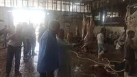 الذبح مجاني: المجازر تستقبل أكثر من 9800 أضحية في اليوم الأول من العيد