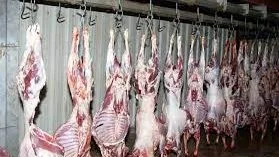 نائبة تطالب بتعزيز المراقبة على المسالخ وذبح المواشي خلال عيد الأضحى نائبة تطالب بتعزيز المراقبة على المسالخ وذبح المواشي خلال عيد الأضحى
