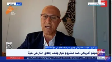 سياسي فلسطيني: تكرار استخدام الولايات المتحدة لحق الفيتو في مجلس الأمن يعيق جهود تحقيق العدالة الدولية.