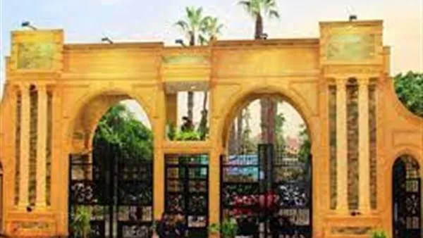 معلومات ومتطلبات التقديم على فرص العمل الجديدة بجامعة المنصورة