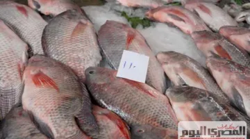 سعر السمك البلطي الممتاز والأسواني والجمبري في الأسواق اليوم السبت 7 يونيو 2025