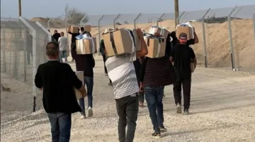 أمريكا تبحث في تقديم 500 مليون دولار لمؤسسة غزة للإغاثة الإنسانية