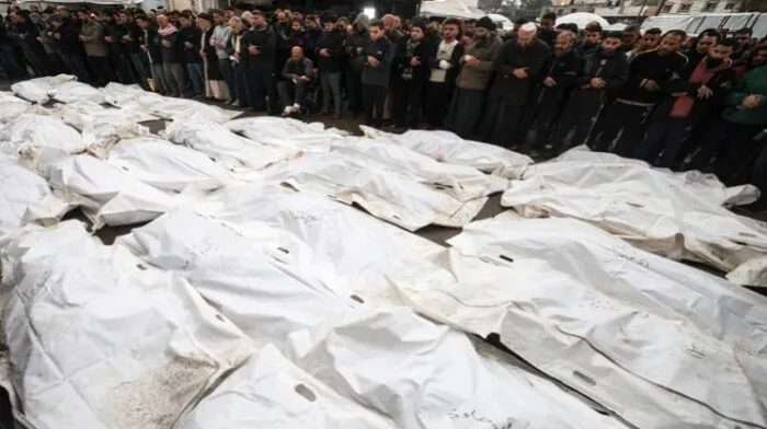 ضحايا الجوع يتزايدون: 115 شهيداً و580 جريحاً بنيران الاحتلال بسبب نقص الغذاء في غزة ضحايا الجوع يتزايدون: 115 شهيداً و580 جريحاً بنيران الاحتلال بسبب نقص الغذاء في غزة