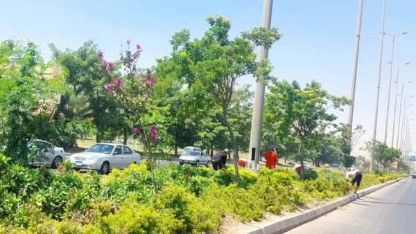احتفل بعيدك بحرية، لكن احذر: هذه التصرفات في الحدائق والمتنزهات قد تؤدي إلى الحبس والغرامة. احتفل بعيدك بحرية، لكن احذر: هذه التصرفات في الحدائق والمتنزهات قد تؤدي إلى الحبس والغرامة.