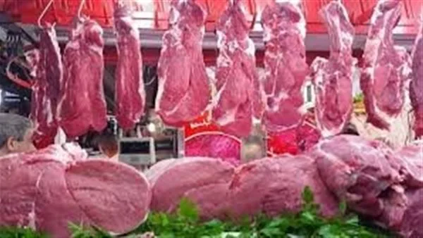 أسعار اللحوم اليوم السبت 7 يونيو في محافظة الغربية أسعار اللحوم اليوم السبت 7 يونيو في محافظة الغربية
