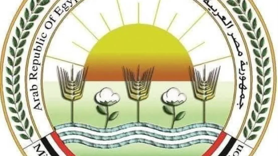 وزير الزراعة يراقب نشاط لجان التفتيش على مواقع بيع الأضاحي ويحث على توعية المواطنين. وزير الزراعة يراقب نشاط لجان التفتيش على مواقع بيع الأضاحي ويحث على توعية المواطنين.