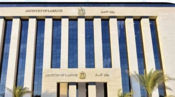 فرص عمل وزارة العمل: 3000 وظيفة متاحة في 14 محافظة (المزيد من التفاصيل)