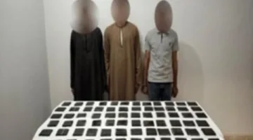 مخدرات بقيمة 46 مليون جنيه.. القضاء على عنصرين خطرين في سوهاج