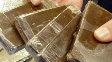 في توقيت متزامن.. قوات الأمن تلاحق مجموعة من مراكز تهريب المخدرات والأسلحة