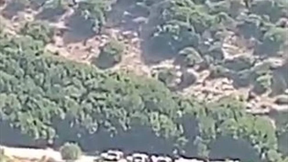 دورية موسعة لليونيفيل في وادي السلوقي (فيديو)