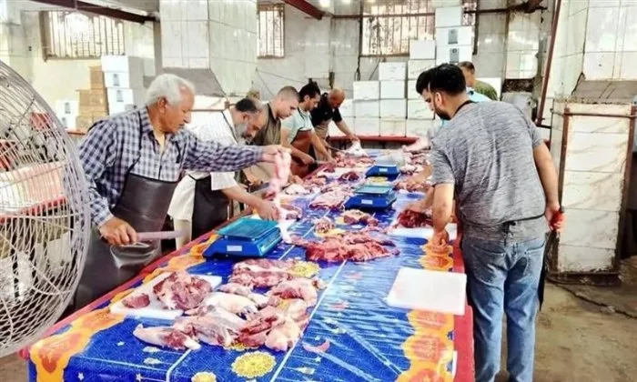ذبح وتوزيع لحوم الأضاحي على الأسر المحتاجة في مركز منوف ذبح وتوزيع لحوم الأضاحي على الأسر المحتاجة في مركز منوف