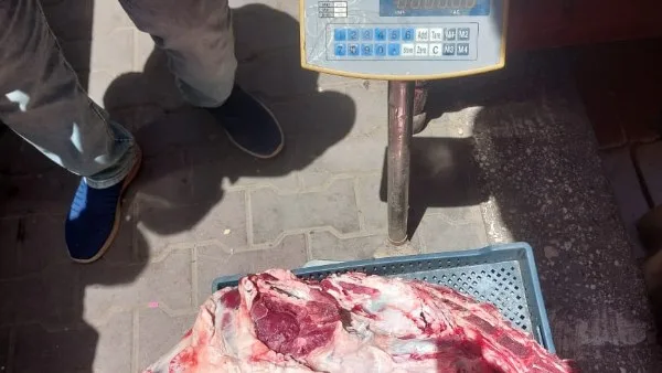 محافظ أسيوط يكشف عن ضبط لحوم مذبوحة خارج المسالخ الرسمية