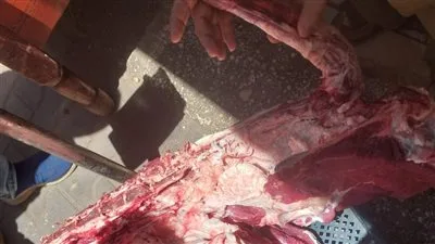 محافظ أسيوط يعلن عن ضبط لحوم غير مطابقة للمجازر الحكومية وتحرير 317 محضرًا تموينيًا خلال حملات مكثفة في المراكز. محافظ أسيوط يعلن عن ضبط لحوم غير مطابقة للمجازر الحكومية وتحرير 317 محضرًا تموينيًا خلال حملات مكثفة في المراكز.