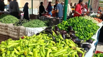 أسعار الفواكه والخضروات في الوادي الجديد خلال اليوم الثاني من عيد الأضحي