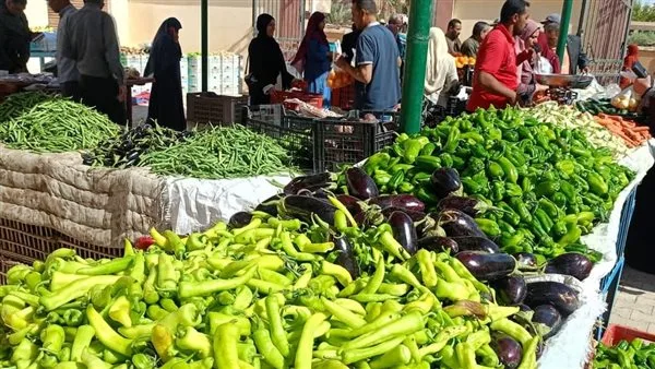 أسعار الفواكه والخضروات في الوادي الجديد خلال اليوم الثاني من عيد الأضحي أسعار الفواكه والخضروات في الوادي الجديد خلال اليوم الثاني من عيد الأضحي