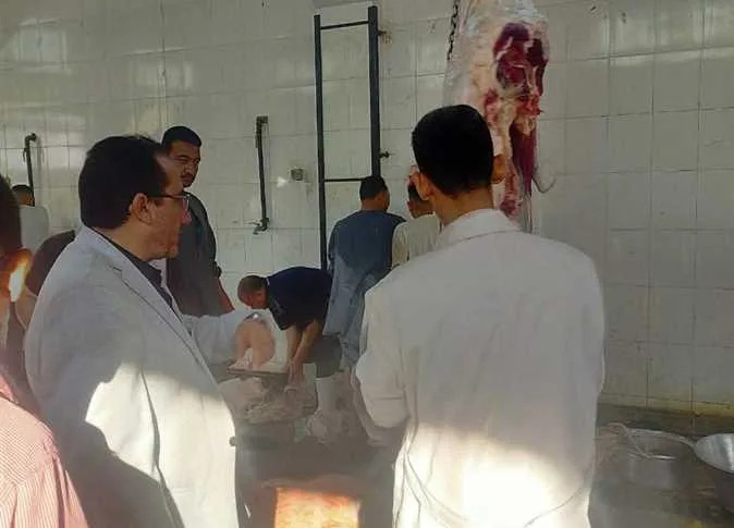 لليوم الثاني.. 39 مركز ذبح تستقبل الأضاحي في محافظة المنيا لليوم الثاني.. 39 مركز ذبح تستقبل الأضاحي في محافظة المنيا