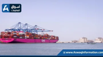 وصول 9594 طن من السلع إلى ميناء دمياط، تشمل الذرة والزيت