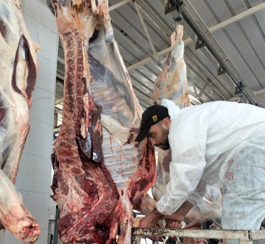 محافظ أسوان: يراقب توفر المنتجات الأساسية في الأسواق وينفذ قرار حظر ذبح الأضاحي في الشوارع محافظ أسوان: يراقب توفر المنتجات الأساسية في الأسواق وينفذ قرار حظر ذبح الأضاحي في الشوارع