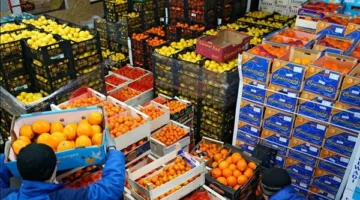 بـ130 مليون دولار: اكتشف الفرص التصديرية المهدرة للمنتجات الغذائية المصرية في الولايات المتحدة