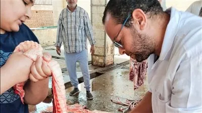 محافظ الجيزة: ذبح ٢٢٠٢ أضحية لمواطني المحافظة في مجازر العيد خلال اليومين الأولين لعيد الأضحى المبارك محافظ الجيزة: ذبح ٢٢٠٢ أضحية لمواطني المحافظة في مجازر العيد خلال اليومين الأولين لعيد الأضحى المبارك